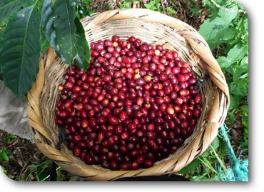 Portfolio slider image