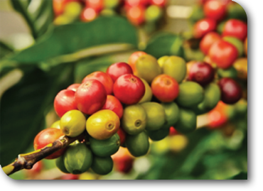 Portfolio slider image